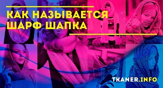 Как называется шапка приложения