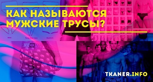 Виды мужских трусов название и фото